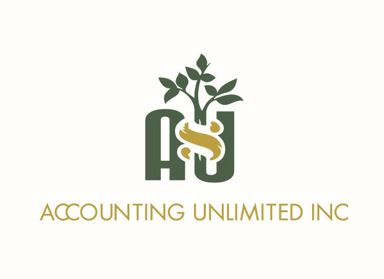 ACCOUNTING UNLIMITED INC